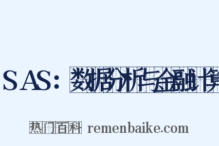 SAS：数据分析与金融计算是什么意思的图片